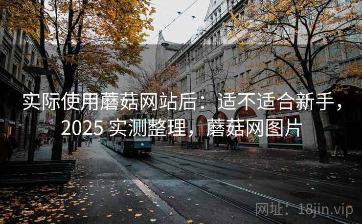 实际使用蘑菇网站后:适不适合新手,2025 实测整理,蘑菇网图片 第2张 实际使用蘑菇网站后:适不适合新手,2025 实测整理,蘑菇网图片 第2张
