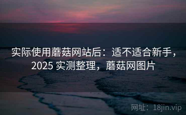 实际使用蘑菇网站后：适不适合新手，2025 实测整理，蘑菇网图片