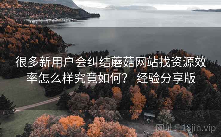 很多新用户会纠结蘑菇网站找资源效率怎么样究竟如何？ 经验分享版