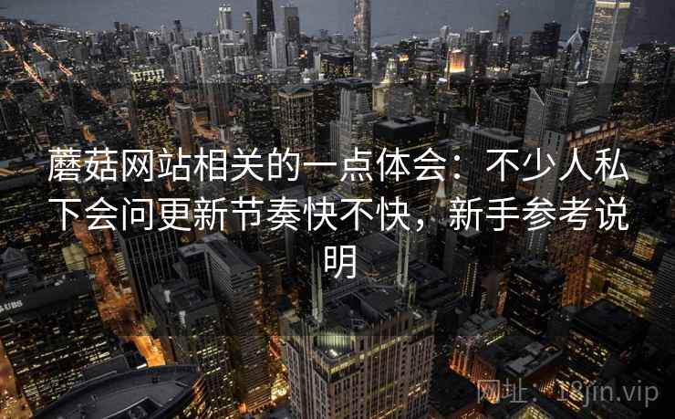 蘑菇网站相关的一点体会:不少人私下会问更新节奏快不快,新手参考说明