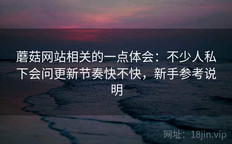 蘑菇网站相关的一点体会：不少人私下会问更新节奏快不快，新手参考说明  第2张