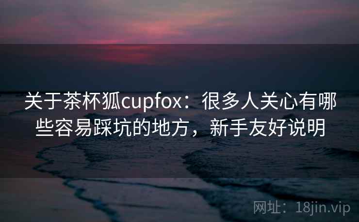 关于茶杯狐cupfox：很多人关心有哪些容易踩坑的地方，新手友好说明