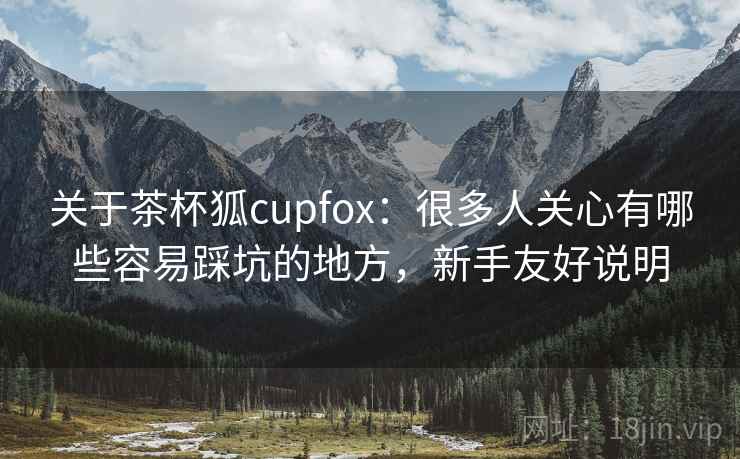 关于茶杯狐cupfox：很多人关心有哪些容易踩坑的地方，新手友好说明  第2张