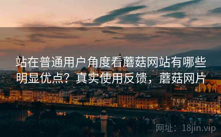 站在普通用户角度看蘑菇网站有哪些明显优点？真实使用反馈，蘑菇网片