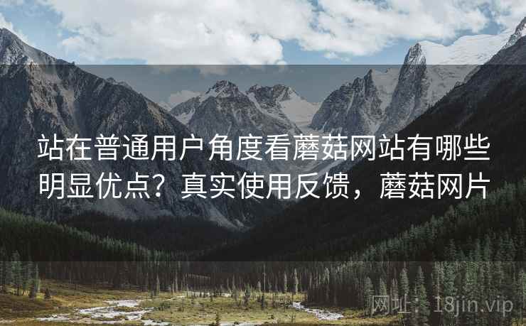 站在普通用户角度看蘑菇网站有哪些明显优点？真实使用反馈，蘑菇网片  第2张
