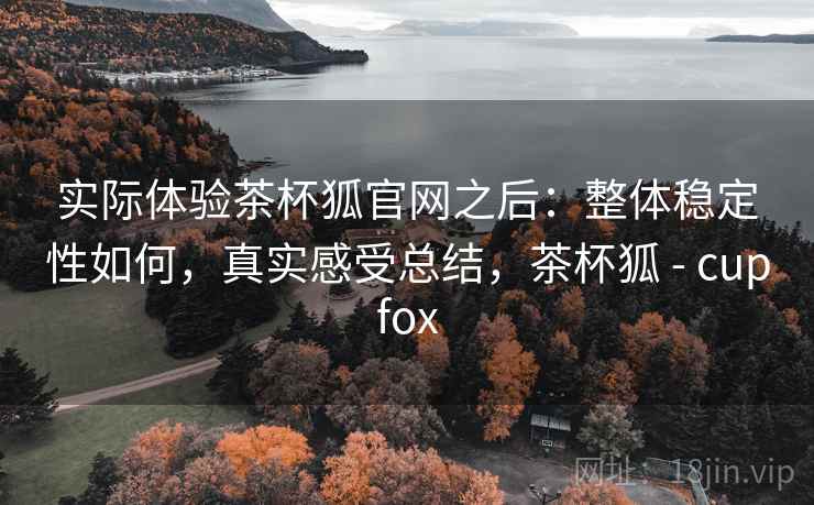 实际体验茶杯狐官网之后：整体稳定性如何，真实感受总结，茶杯狐 - cupfox