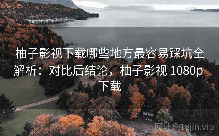 柚子影视下载哪些地方最容易踩坑全解析：对比后结论，柚子影视 1080p 下载  第2张