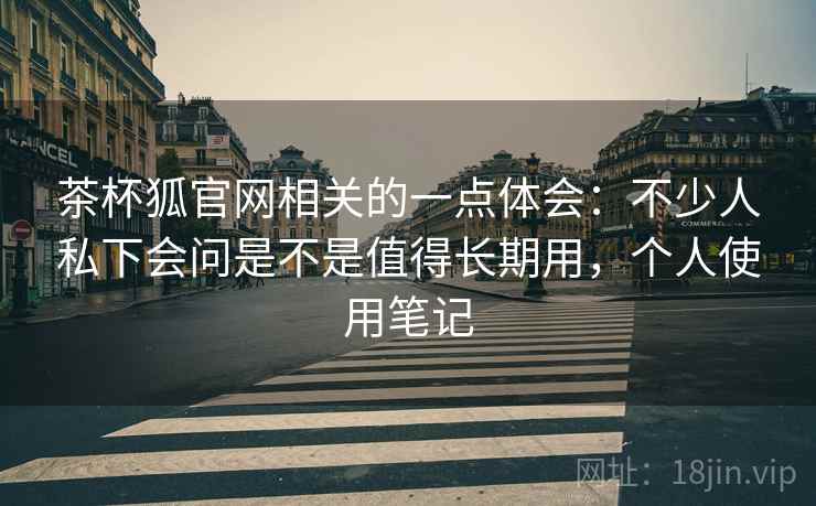 茶杯狐官网相关的一点体会：不少人私下会问是不是值得长期用，个人使用笔记  第2张