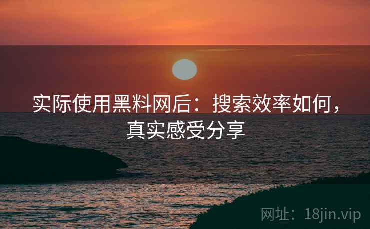 实际使用黑料网后:搜索效率如何,真实感受分享