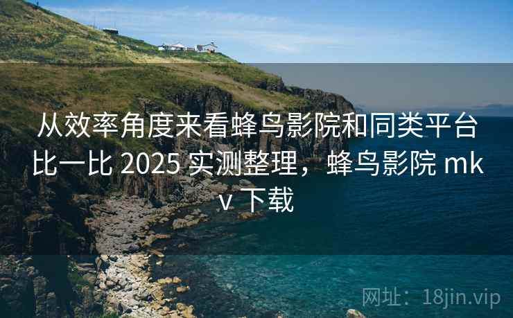 从效率角度来看蜂鸟影院和同类平台比一比 2025 实测整理,蜂鸟影院 mkv 下载